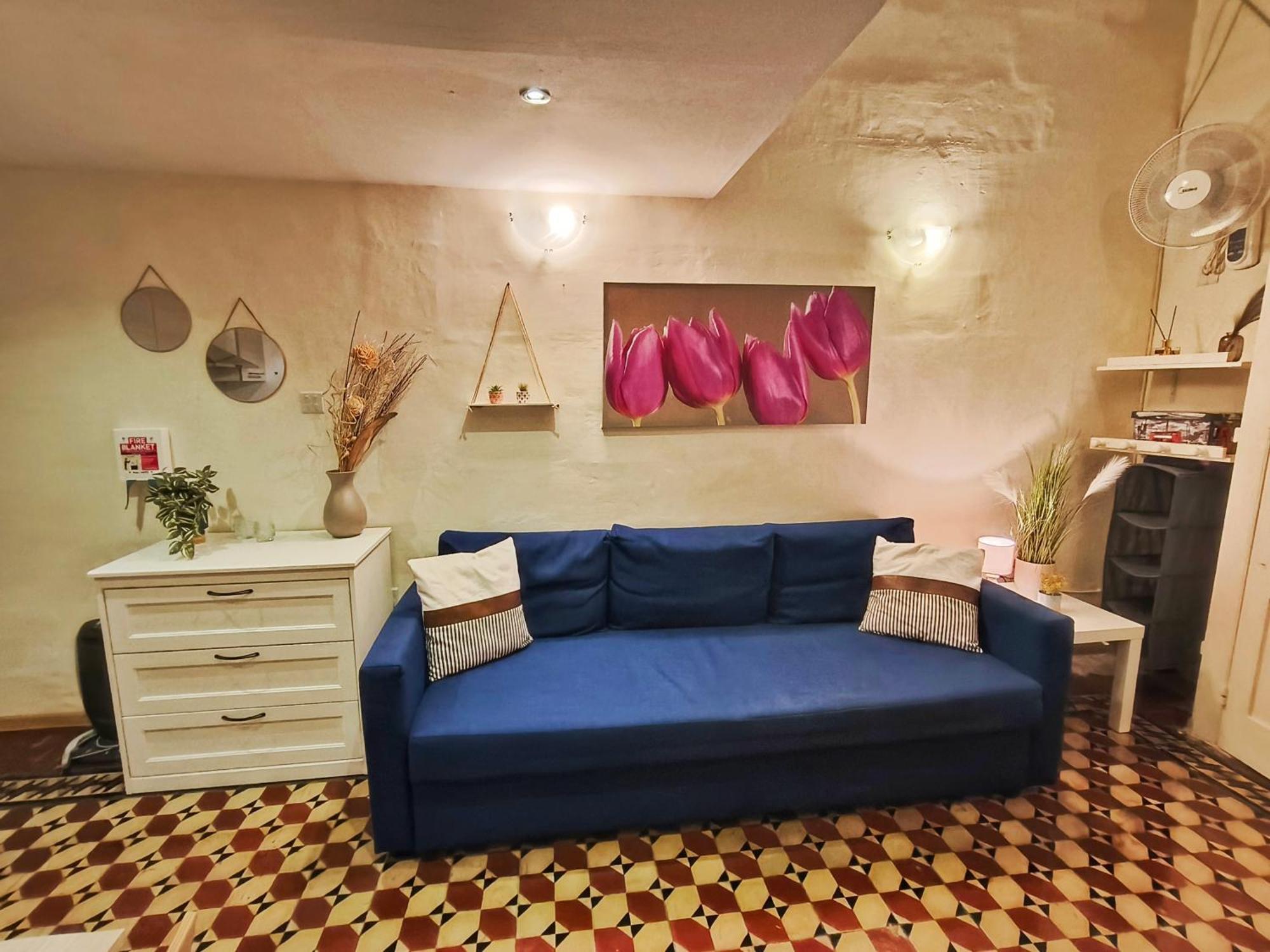 Duplex Traditional House In Centre Apartment